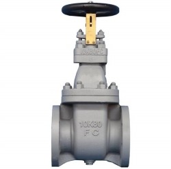 JIS F7364 10K Marine cast iron gate valve