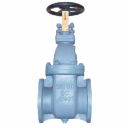 JIS F7363C 5K Marine cast steel gate valve