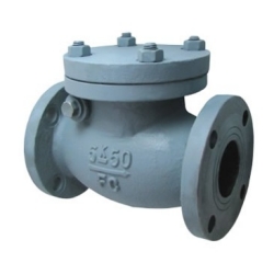 JIS F7372 5K Marine cast iron swing check valve