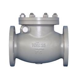 JIS F7373 10K Marine cast iron swing check valve